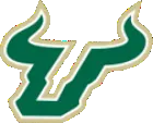 University of South Florida